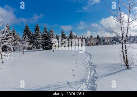 Première petite randonnée d'hiver le long du Rennsteig à travers le Thuringe Forêt - Schneekopf/Allemagne Banque D'Images