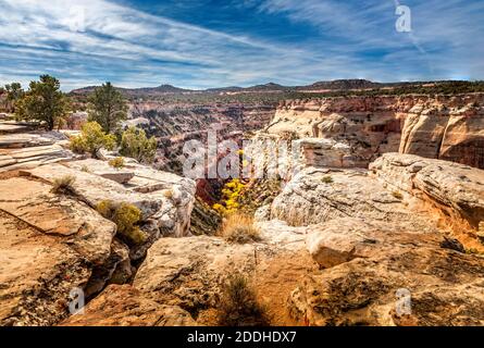 Point de vue des frissons sur le Columbus Canyon, Colorado, États-Unis Banque D'Images