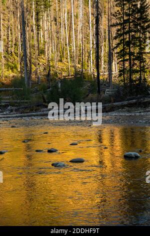 WA18535-00...WASHINGTON - réflexions sur la rivière Pasayten en fin d'après-midi dans la région sauvage de Pasayten, dans la forêt nationale d'Okanogan. Banque D'Images