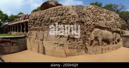 La pénitence d'Arjuna ( Descent du Gange ) une grande sculpture de relief rocheux à Mahabalipuram, Tamil Nadu, Inde Banque D'Images