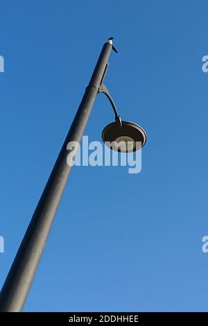 Une photo à angle bas d'une lampe de rue sous le lumière du soleil et un ciel bleu et un oiseau magpie dessus haut Banque D'Images