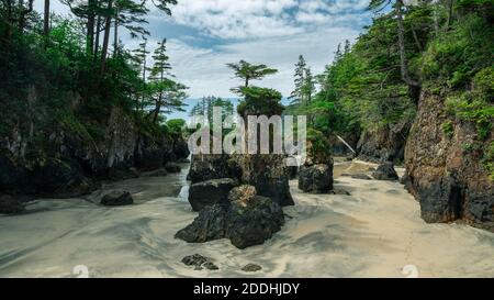 Piles de la mer de Cape Scott Banque D'Images