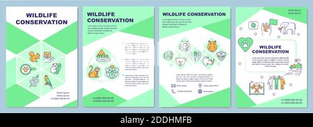 Modèle de brochure sur la conservation de la faune Illustration de Vecteur