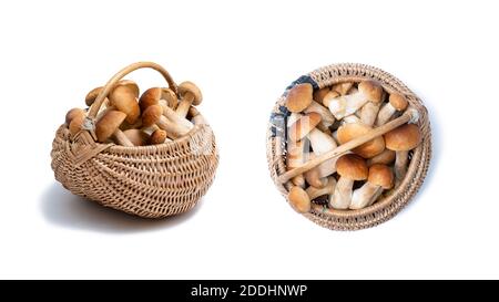 Ensemble de panier en osier plein de Boletus edulis isolé sur fond blanc. Panier de champignons comestibles. Personne Banque D'Images
