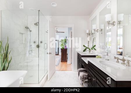 Salle de bains rénovée de luxe avec meuble-lavabo en bois sombre, douche en verre et baignoire autonome, et vue sur la chambre. Banque D'Images