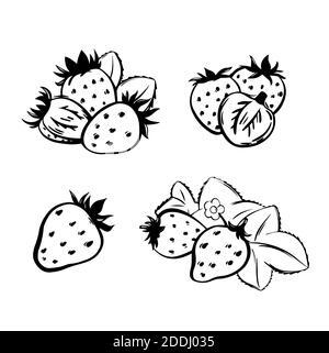 Illustration de l'ensemble fraise en vecteur. Illustration dessinée à la main de l'icône de fraise isolée sur fond blanc. Idéal pour le conditionnement, p Banque D'Images