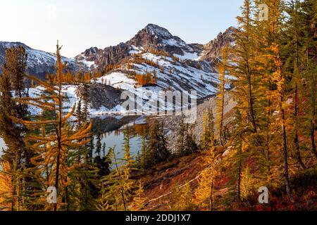 WA17767-00..... WASHINGTON - les grands arbres sont de couleur automnale à Lower Ice Lake, Glacier Peak Wilderness, Okanogan Wenatchee National Forest. Banque D'Images