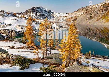 WA17771-00..... WASHINGTON - les grands arbres sont de couleur automnale à Upper Ice Lake, Glacier Peak Wilderness, Okanogan Wenatchee National Forest. Banque D'Images