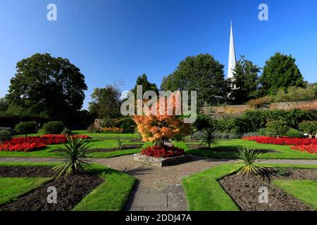 Vue d'été sur les Rose Gardens, ville de Hemel Hempstead, comté de Hertfordshire, Angleterre Banque D'Images