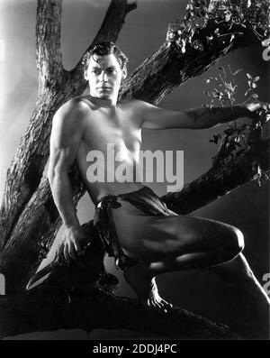 JOHNNY WEISSMULLER Portrait classique par GEORGE HURRELL pour TARZAN ESCAPADES aka LA CAPTURE DE TARZAN 1936 réalisateurs RICHARD THORPE JOHN FARROW JAMES C. McKay GEORGE B. SEITZ WILLIAM A. WELLMAN scénario Cyril Hume basé sur des personnages créés par Edgar Rice Burroughs Metro Goldwyn Mayer Banque D'Images