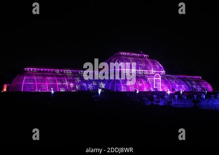 Noël à Kew, l'exposition annuelle de lumière festive aux jardins botaniques royaux qui comprend un sentier lumineux et des expositions sur l'emblématique Palm House Banque D'Images