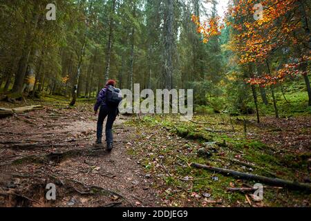 Femme active avec sac à dos randonnée sur un sentier à travers le forêt Banque D'Images