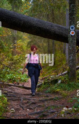 Femme active avec sac à dos randonnée sur un sentier à travers le forêt Banque D'Images