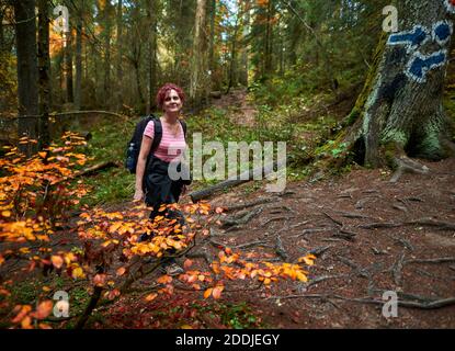 Femme active avec sac à dos randonnée sur un sentier à travers le forêt Banque D'Images