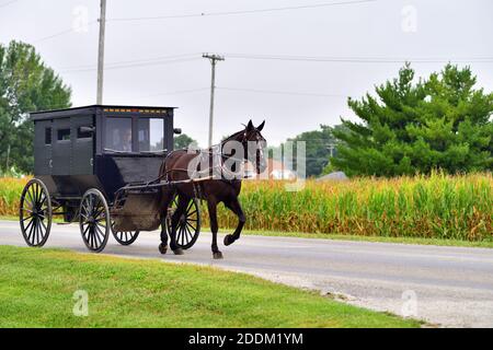 Arthur, Illinois, États-Unis. Une calèche amish descend une rue pavée près du centre-ville d'Arthur, Illinois. Banque D'Images