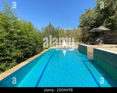 Côté piscine calme et confortable avec statue de Bouddha et arbres cultivés. Piscine au centre d'une forêt entourée d'arbres verts en pierre naturelle. Banque D'Images