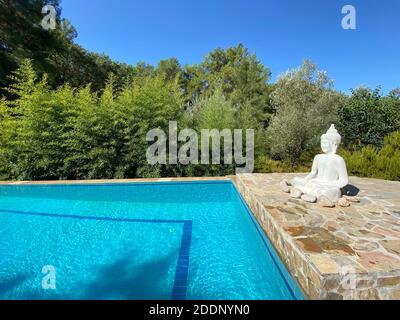 Côté piscine calme et confortable avec statue de Bouddha et arbres cultivés. Piscine au centre d'une forêt entourée d'arbres verts en pierre naturelle. Banque D'Images