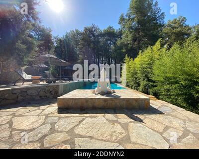 Côté piscine calme et confortable avec statue de Bouddha et arbres cultivés. Piscine au centre d'une forêt entourée d'arbres verts en pierre naturelle. Banque D'Images