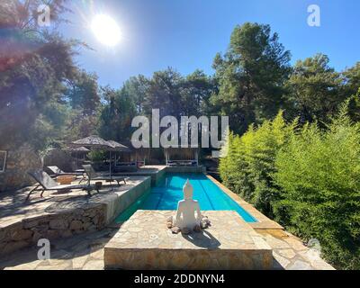 Côté piscine calme et confortable avec statue de Bouddha et arbres cultivés. Piscine au centre d'une forêt entourée d'arbres verts en pierre naturelle. Banque D'Images