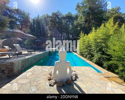 Côté piscine calme et confortable avec statue de Bouddha et arbres cultivés. Piscine au centre d'une forêt entourée d'arbres verts en pierre naturelle. Banque D'Images