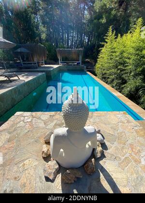 Côté piscine calme et confortable avec statue de Bouddha et arbres cultivés. Piscine au centre d'une forêt entourée d'arbres verts en pierre naturelle. Banque D'Images