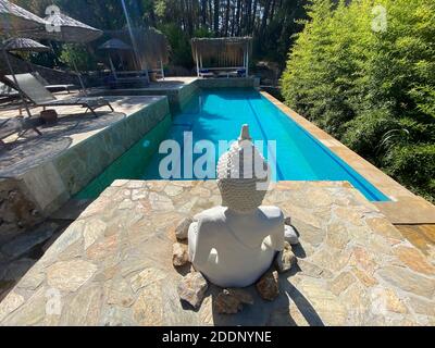 Côté piscine calme et confortable avec statue de Bouddha et arbres cultivés. Piscine au centre d'une forêt entourée d'arbres verts en pierre naturelle. Banque D'Images