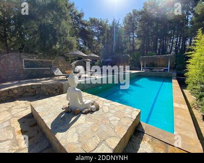 Côté piscine calme et confortable avec statue de Bouddha et arbres cultivés. Piscine au centre d'une forêt entourée d'arbres verts en pierre naturelle. Banque D'Images