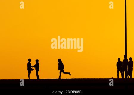 Los Angeles, États-Unis. 25 novembre 2020. Silhouettes de personnes appréciant le coucher du soleil à Huntington Beach, Californie.Huntington Beach est également connu sous le nom de Surf City USA et est une destination de voyage dans le sud de la Californie. Crédit : SOPA Images Limited/Alamy Live News Banque D'Images