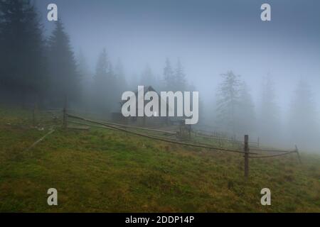 Cabane de berger de montagne brumeuse entourée de pins. Scène tranquille avec clôture en bois au premier plan. Gorgany, Carpates ukrainiennes, Ukraine. Banque D'Images