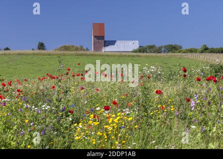 Géographie / Voyage, Allemagne, Schleswig-Holstein, isle Sylt, église Saint-Severin à Keitum, Additional-Rights-Clearance-Info-non-disponible Banque D'Images