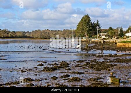 Marée basse au quai, Devoran, Cornwall, Angleterre, Royaume-Uni. Banque D'Images