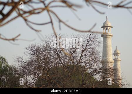 Taj Mahaj, Agra, Inde- merveille du monde aaaaaaaaaaaaaaaaaaaaaaaaaaaaaaaaaaaaaaaaaaaaaaaaaaaaaaaaaaaaaaaaaaaaaaaaaaaaaaaaaaaaaaaaaaaaaaaaaaaaaaaaaaaaaaaaaaaaaaaaaaaaaaaaaaaaaaaaaaaaaaaaaaaaaaaaaaaaaaaaaaaaaaaaaa Banque D'Images