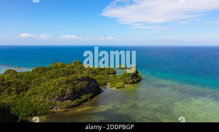 Paysage marin tropical : île avec forêt tropicale et mer bleue. Bohol, Philippines. Banque D'Images
