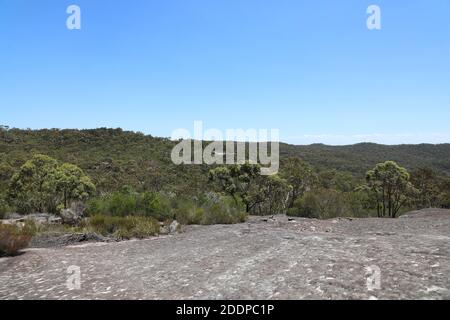 Parc national de Ku-ring-gai Chase, Sydney, Australie. Banque D'Images