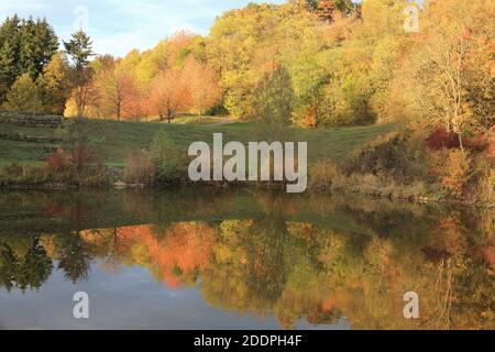 Ambiance d'automne dans un lac, Allemagne, Bade-Wurtemberg Banque D'Images