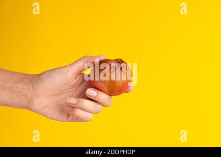 Une main femelle tient une pomme pourrie avec un ver sur fond jaune. Produits périmés. Banque D'Images