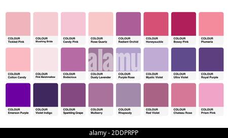 Palette de couleurs Catalogue Rose violet échantillons vecteur en RVB Illustration de Vecteur