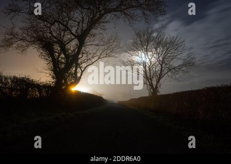 Une ruelle de campagne effrayante avec des arbres désilhouetés contre la lune. Lors d'une nuit d'hiver brumeuse Banque D'Images