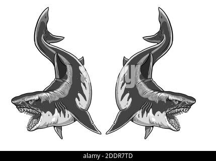 Tigre géant et requins blancs. Gros dessin de requin. Illustration monster megalodon. Banque D'Images