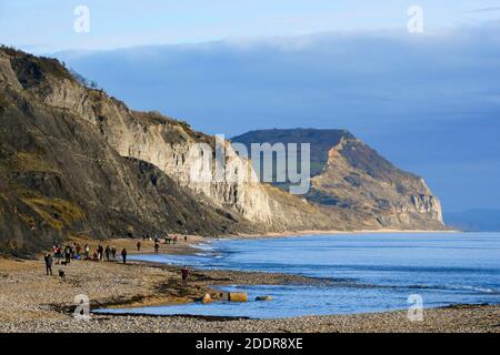 Charmouth, Dorset, Royaume-Uni. 26 novembre 2020. La plage est occupée par des personnes qui s'exerçent à Charmouth à Dorset en regardant vers Golden Cap un après-midi ensoleillé pendant le confinement de Covid-19. Crédit photo : Graham Hunt/Alamy Live News Banque D'Images