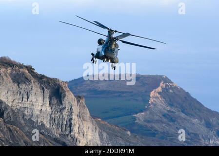 Charmouth, Dorset, Royaume-Uni. 26 novembre 2020. Un hélicoptère CH-47 Chinook survolant la plage animée de Charmouth à Dorset pendant un après-midi ensoleillé pendant le confinement de Covid-19. Crédit photo : Graham Hunt/Alamy Live News Banque D'Images