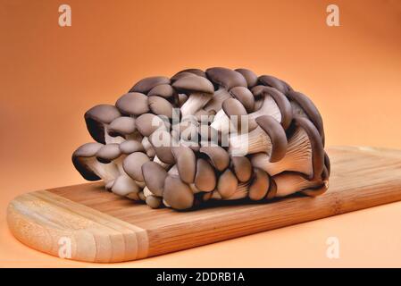 Champignons naturels comestibles, planches à découper en bambou, sur fond orange, champignons pour la cuisson et les cornichons, gros plan et espace de copie Banque D'Images