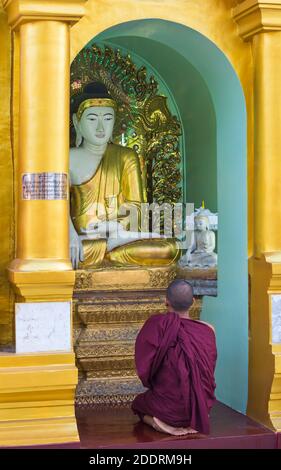 Le moine bouddhiste prier à la pagode Shwedagon, Yangon, Myanmar (Birmanie), l'Asie en février Banque D'Images