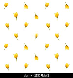 Motif rose aux couleurs jaune et blanc sans couture Banque D'Images