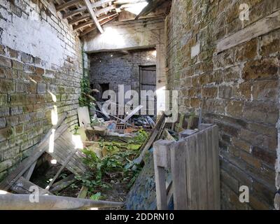 Vieux bâtiment de ferme en ruine avec du bois et d'autres articles éparpillés autour de la végétation poussant à travers le plancher avec le toit tombant Banque D'Images