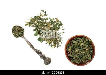 Granulation de l'herbe de mur utilisée en phytothérapie pour traiter la rétention de liquide, les troubles des voies urinaires, la constipation, la toux et également utilisé pour les brûlures. Banque D'Images