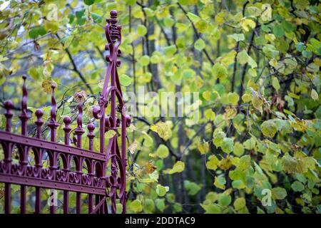 La porte en fer forgé peinte en Bourgogne s'ouvre sur le jardin Banque D'Images