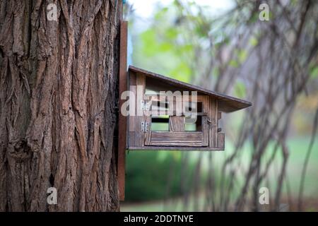 Maison d'oiseau en bois sur un arbre en automne Banque D'Images