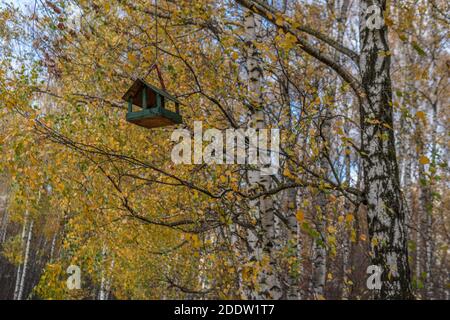 Mangeoire à oiseaux, maison pour voler de beaux poussins sur un arbre suspendu sur le fond de la forêt, le bouleau, automne Banque D'Images