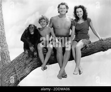 CHEETEAH THE CHIMPANZEE JOHNNY SHEFFIELD JOHNNY WEISSMULLER ET MAUREEN O'SULLIVAN Portrait publicitaire de CLARENCE SINCLAIR BULL pour LE TRÉSOR SECRET DE TARZAN 1941 réalisateur RICHARD THORPE basé sur des personnages créés par Edgar Rice Burroughs Metro Goldwyn Mayer Banque D'Images